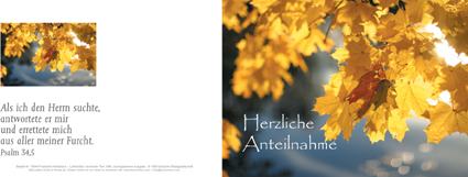 Klappkarte Herbstlaub (Trauer) - Cover