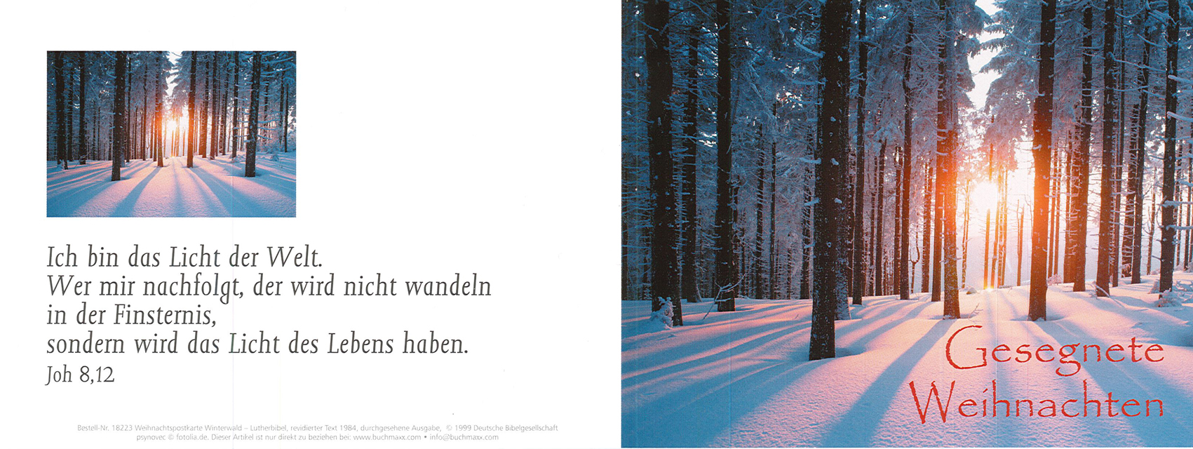 Klappkarte Winterwald (Weihnachten)