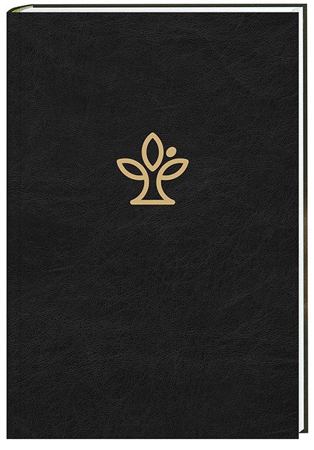 Die Bibel. Lerderausgabe schwarz mit Goldschnitt und Familienchronik. - Cover