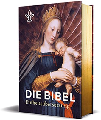 Die Bibel. Mit Bildern der Alten Meister und Familienchronik. Großdruck - Cover