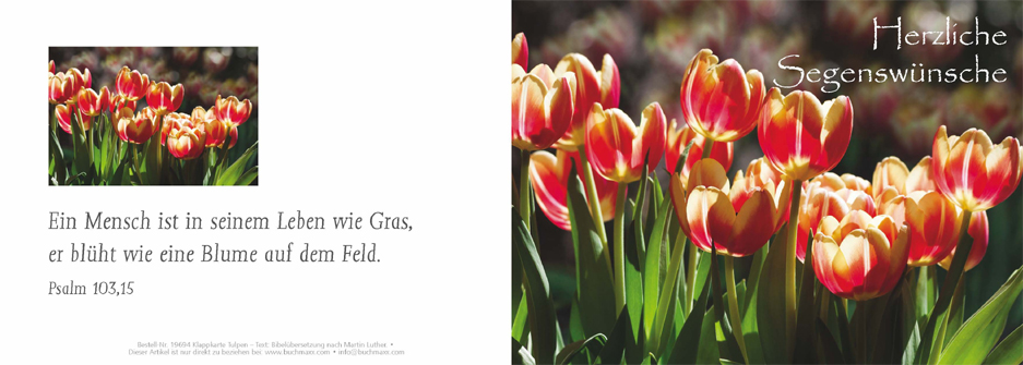 Klappkarte Tulpen (Segenswünsche) - Cover