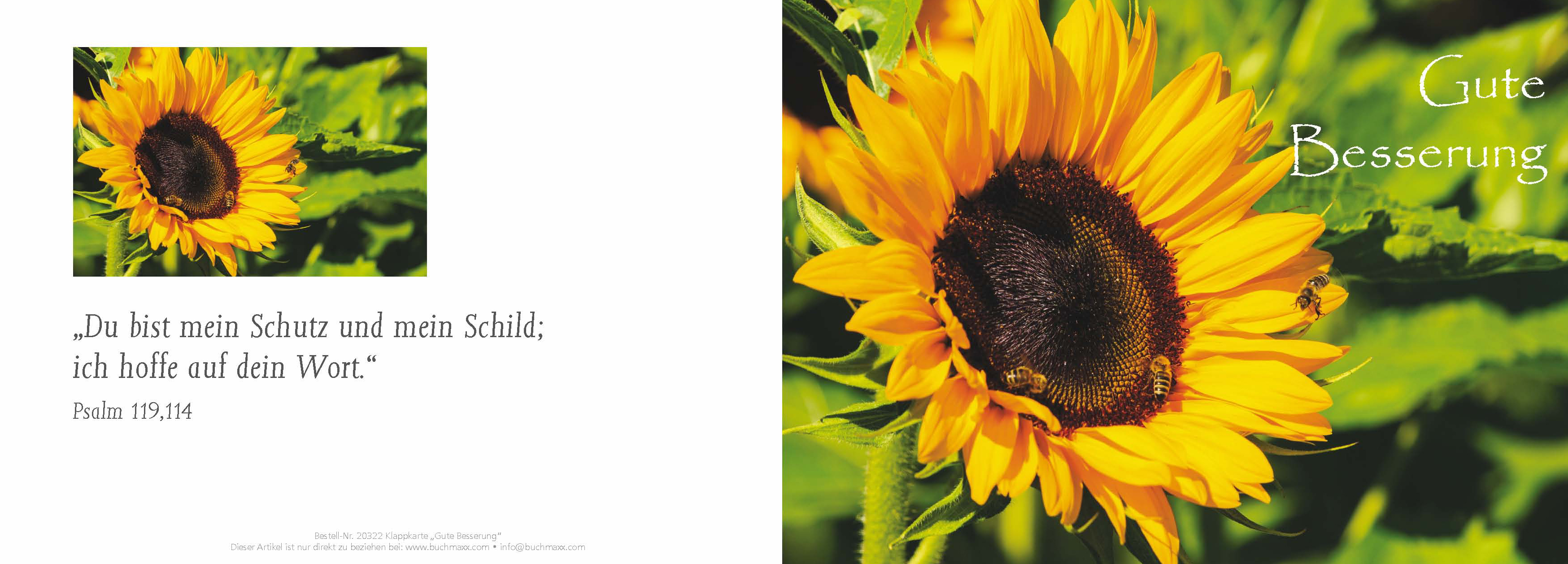 Klappkarte Gute Besserung (Sonnenblume) - Cover
