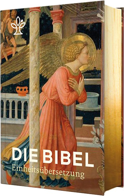 Die Bibel mit Bildmotiven von Engeln - Cover