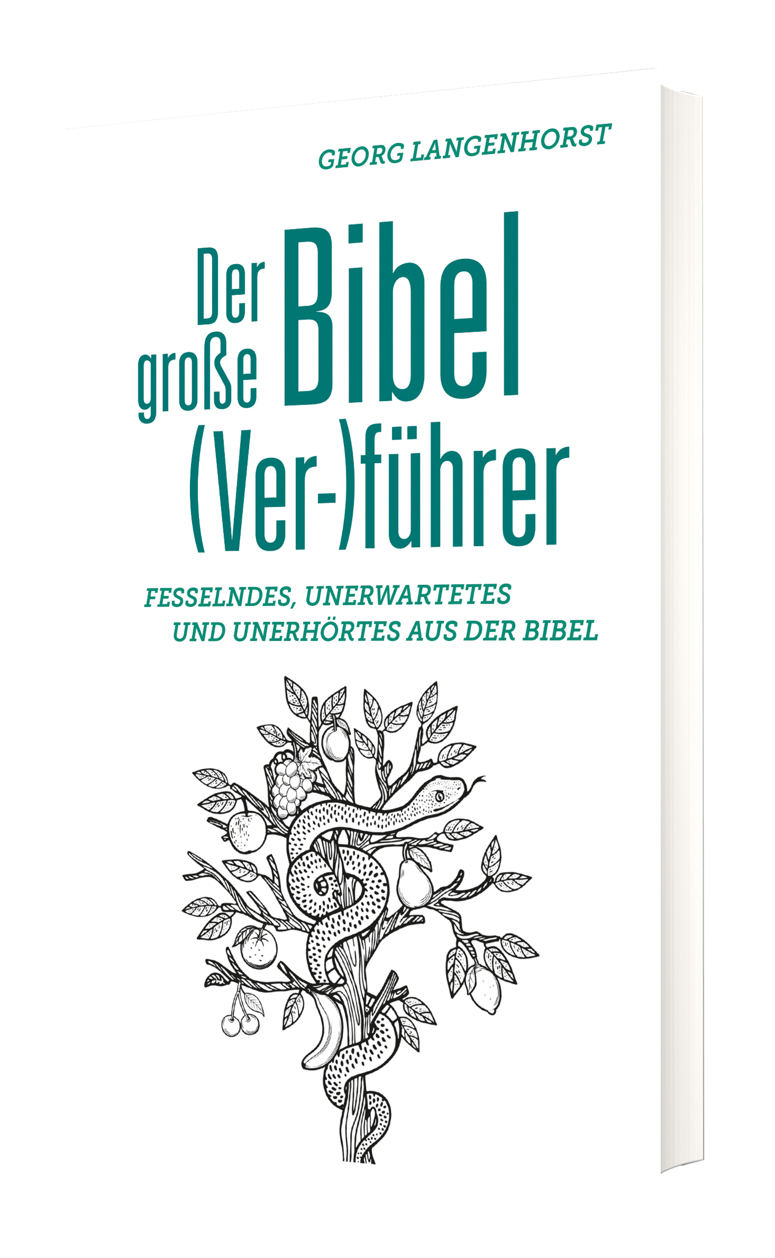 Der große Bibel (Ver-)führer - Cover