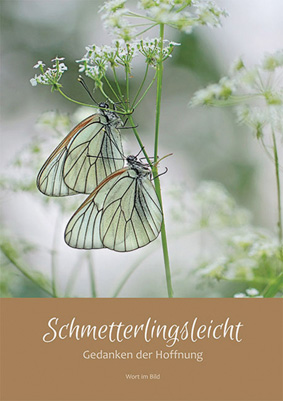 Schmetterlingsleicht - Cover
