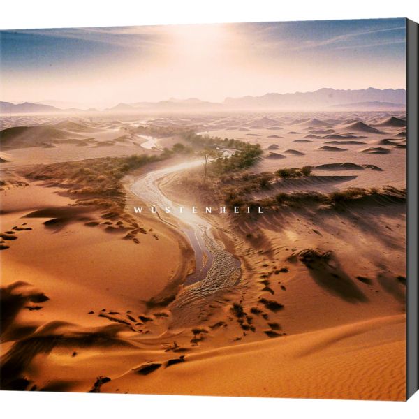 Wüstenheil (CD)