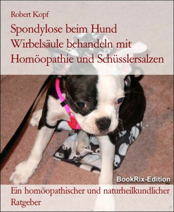 Spondylose beim Hund   Wirbelsäule behandeln mit Homöopathie und Schüsslersalzen